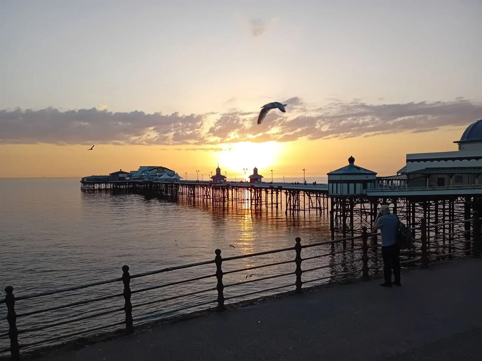 North Pier reaching over the sea at sunset with gulls above the water